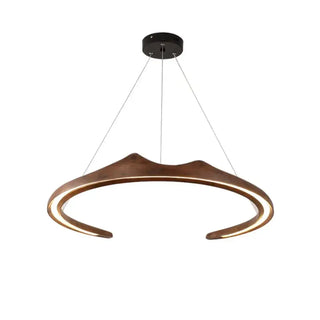 Wood pendant lamp close-up, modern sculptural LED unique hanging ceiling light