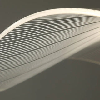 LOTUS White Lotus Leaf-Inspired Ceiling Light – view 5