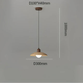 Glass metal contemporary pendant lamp, modern ceiling hanging light