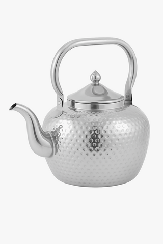 stainless steel teapot with filter