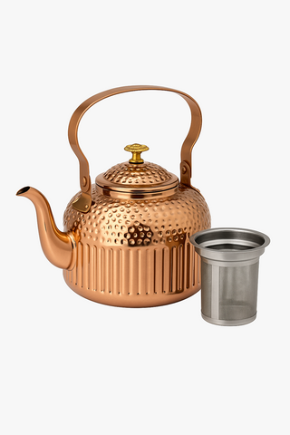stainless steel teapot with filter