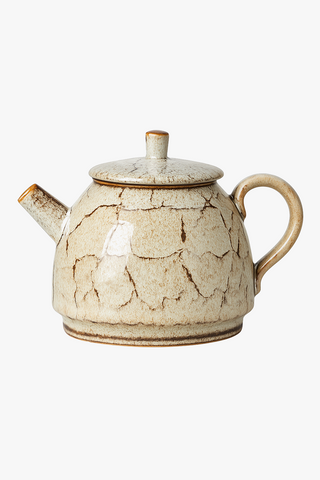 chinese ceramic teapot
