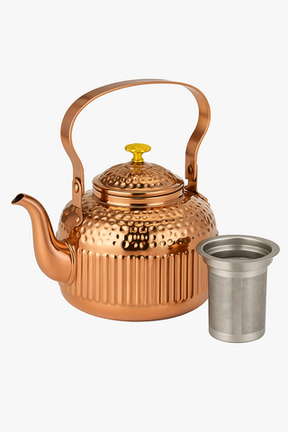 stainless steel teapot with filter