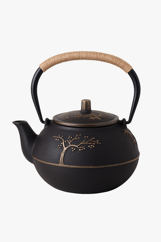 japanese cast iron teapot with infuser