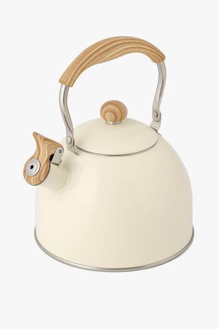 stainless steel teapot
