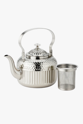 stainless steel teapot with filter