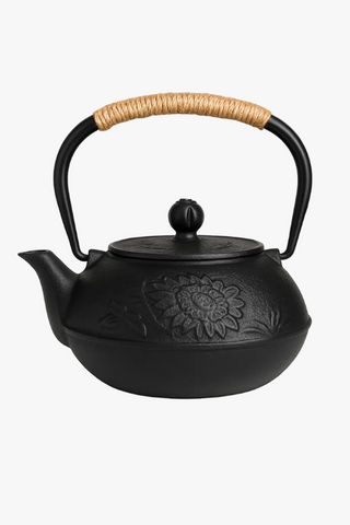 japanese cast iron teapot with infuser