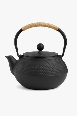 japanese cast iron teapot with infuser