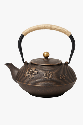 japanese cast iron teapot with infuser