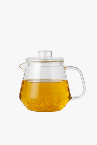 borosilicate glass teapot with infuser