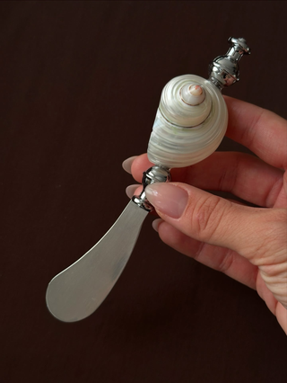 unique natural shell handle silverware